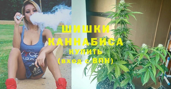ECSTASY Кодинск