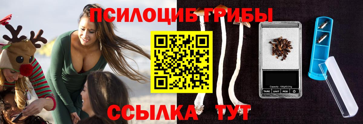 купить   Псилоцибиновые грибы Psilocybine cubensis  Псилоцибиновые грибы ЛСД  Вход с VPN  Новочеркасск 