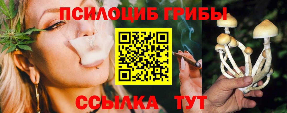 Галлюциногенные грибы Magic Shrooms Новочеркасск
